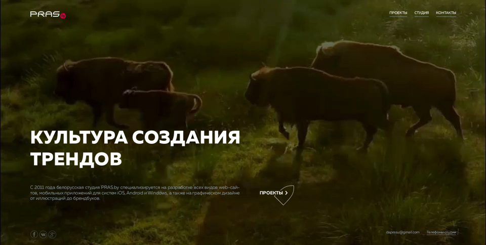 Галоўная старонка прома-сайта арт-студыі PRAS - www.pras.su